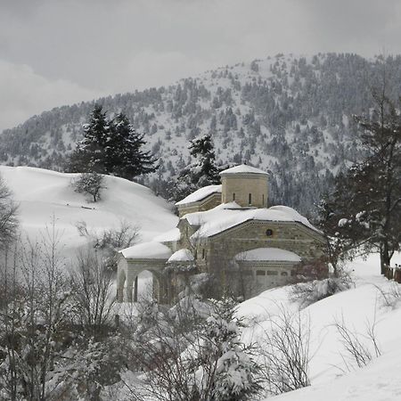 Guesthouse Theodorou Eláti Zewnętrze zdjęcie